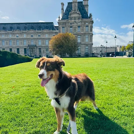 Cozy In Le Marais Alloggio in famiglia
