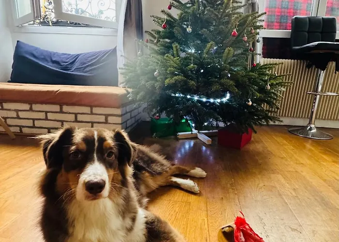 Δωμάτια σε οικογενειακή κατοικία Cozy In Le Marais