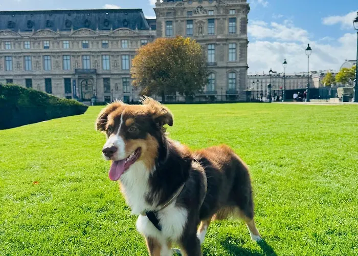 Cozy In Le Marais Δωμάτια σε οικογενειακή κατοικία